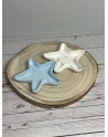 Bandeja Decorativa en Forma de Estrella – Vaciabolsillos Artesanal en Resina al Agua