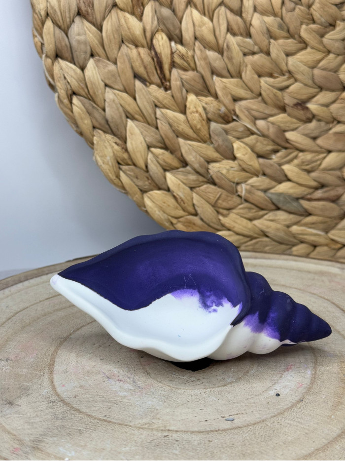 Concha Decorativa Marina en Resina al Agua – Pieza Artesanal Estilo Mediterráneo