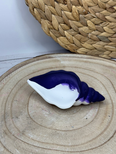 Concha Decorativa Marina en Resina al Agua – Pieza Artesanal Estilo Mediterráneo